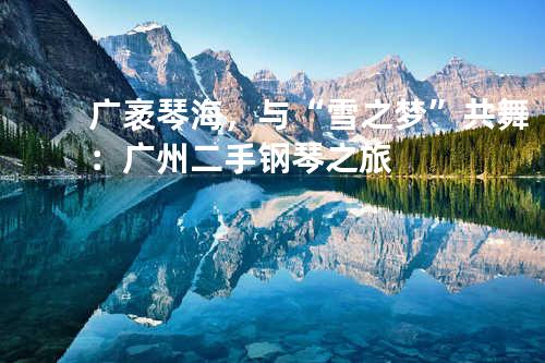 广袤琴海，与“雪之梦”共舞：广州二手钢琴之旅